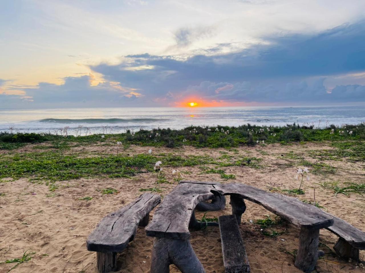 Jungle Surf Camp Panama Exterior foto