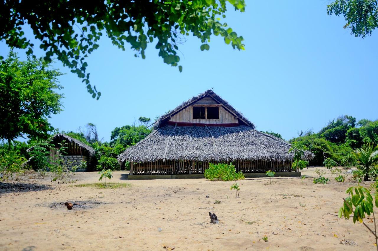 Jungle Surf Camp Panama Exterior foto